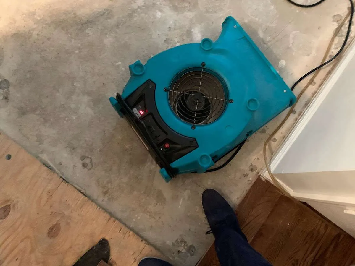 Air mover drying subfloor during Commercial Water Damage Restoration in Montrose-Ghent